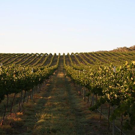 Mayfield Vineyard Orange Esterno foto