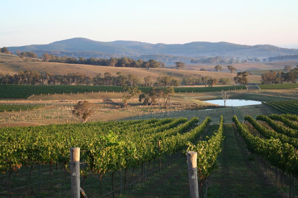Mayfield Vineyard Orange Esterno foto