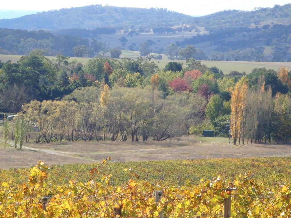 Mayfield Vineyard Orange Esterno foto