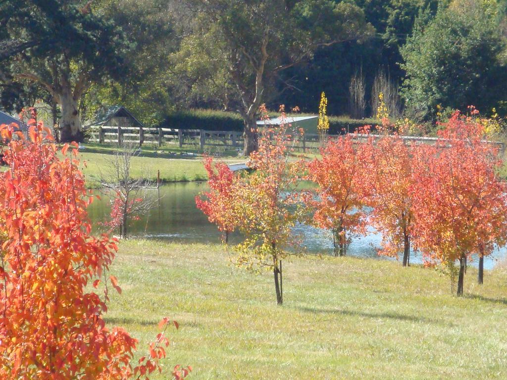 Mayfield Vineyard Orange Esterno foto