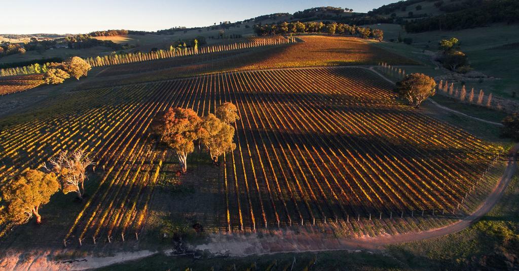 Mayfield Vineyard Orange Esterno foto