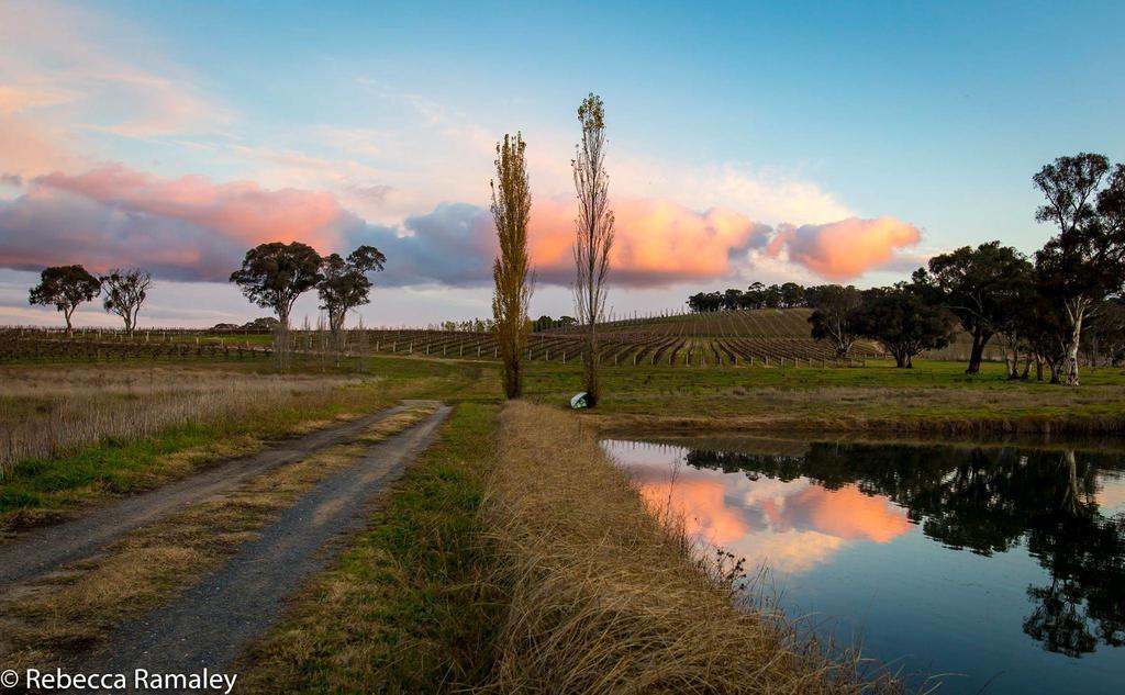 Mayfield Vineyard Orange Esterno foto